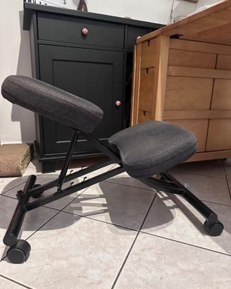 EIFRED  sedia ergonomica Ikea