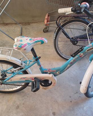 Bicicletta 
