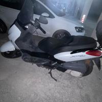 Xmax 250