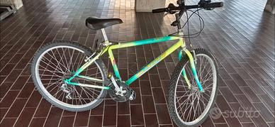 Bicicletta mountain bike