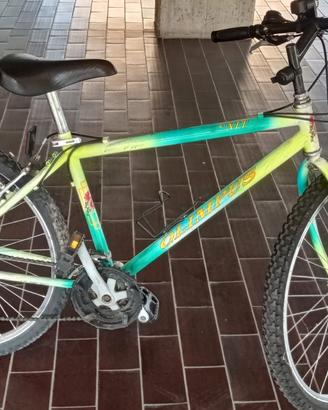 Bicicletta mountain bike