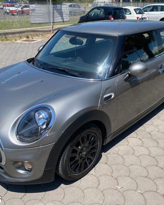 Mini 1.5 One D Hype