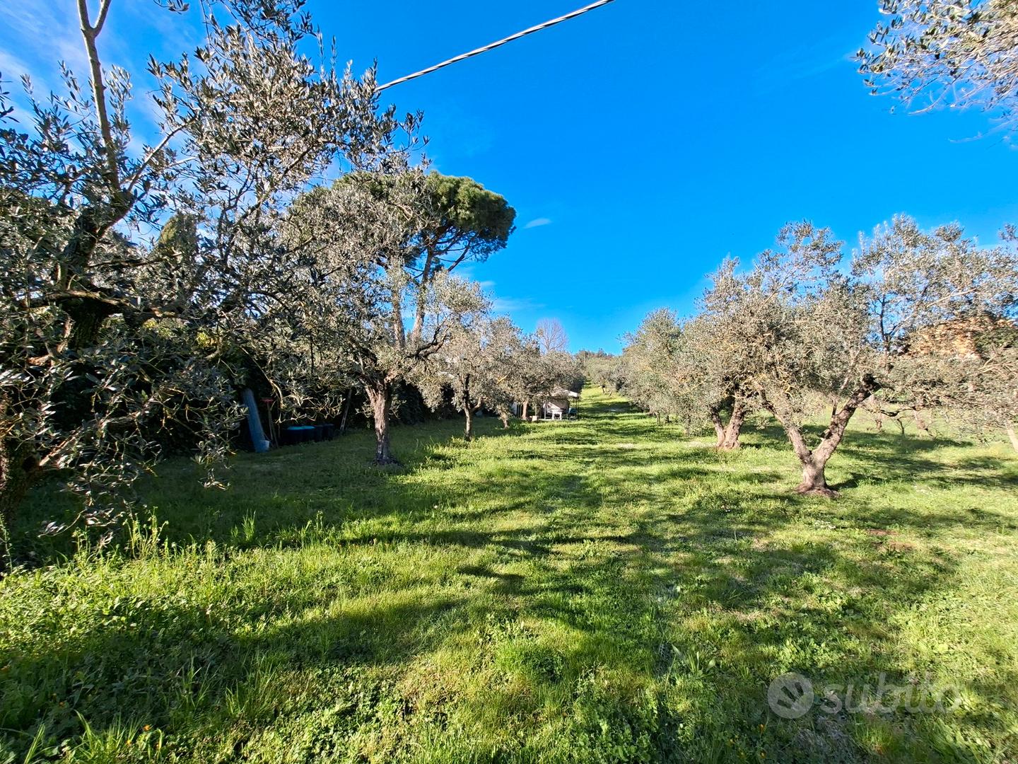 Terreno agricolo pianeggiante - Vista 2