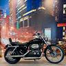 harley-davidson-883-sportster-xl
