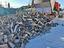 Immagine 1
