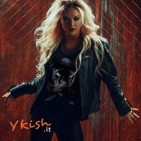 T-shirt M L XL 2XL nuova 100% cotone bio - Pantera