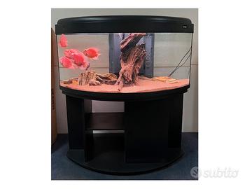 Acquario MTB Image 120 con supporto e 4 Red Parrot