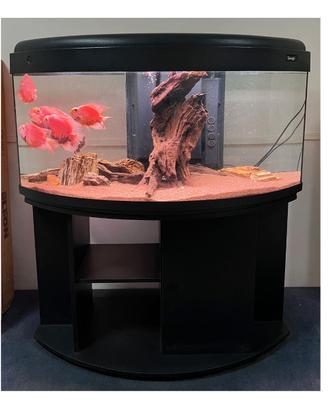 Acquario MTB Image 120 con supporto e 4 Red Parrot