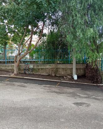 Manutentore dell' verde