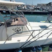 Murena 730 Walkaround 8 m - Motore Mercury 200 cv,