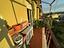 Immagine 16