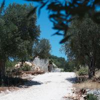 Trulli rustici