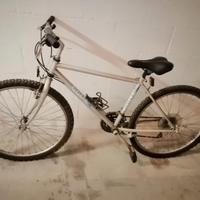 Mountain bike ragazza/ragazzo