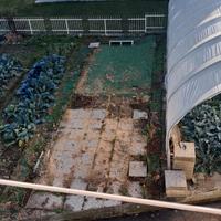 Piastrelloni 50×50 nuovi