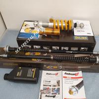 Bmw r nine t ohlins mono cartucce andreani misano