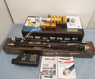 Bmw r nine t ohlins mono cartucce andreani misano