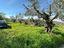 Immagine 11