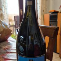 bottiglie ichnusa vintage 