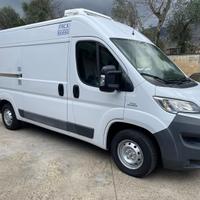 Fiat Ducato Isotermico #2371