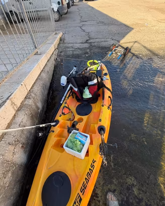 Kayak