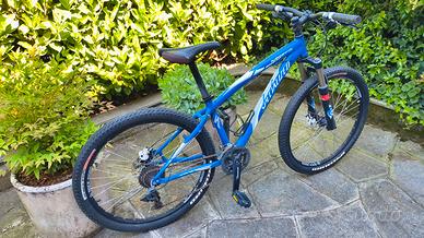 Specialized Hardrock Sport