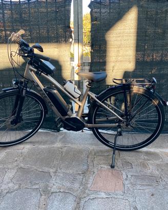 E-Bike Trek verve+ 2