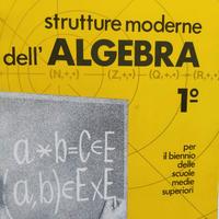 Strutture moderne dell'algebra - vol. 1