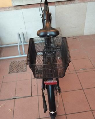 bicicletta elettrica 
