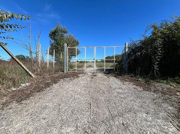 TER. AGRICOLO A MARTA