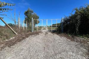 TER. AGRICOLO A MARTA