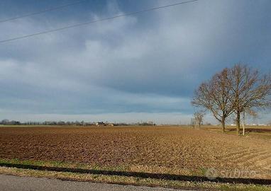 Rif.1133| area industriale gragnano trebbiense