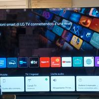 LG Oled 55 pollici