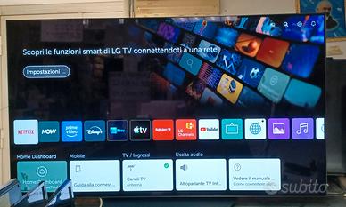 LG Oled 55 pollici