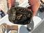 Immagine 10