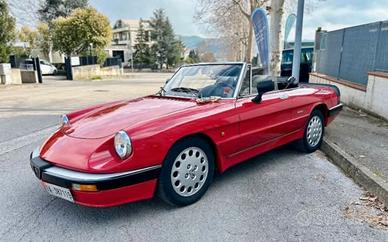 alfa spider quadrifoglio 