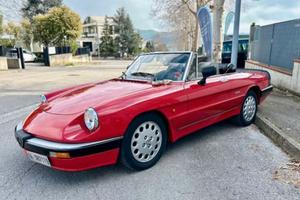 alfa spider quadrifoglio 