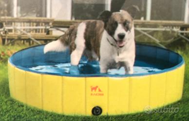 Piscina per cani e gatti