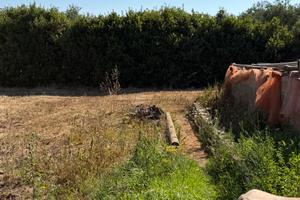 Rustico in zona Ungias