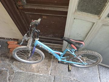 Bici carraro
