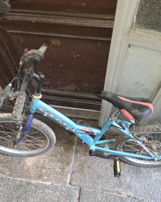 Bici carraro
