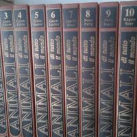 Enciclopedia animali da tutto il mondo