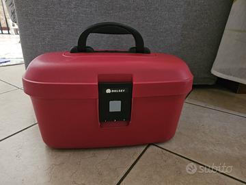 Beaty case Delsay