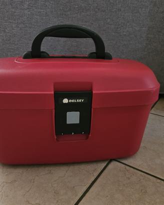 Beaty case Delsay