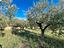 Immagine 9