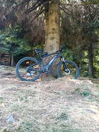MtB - elettrica