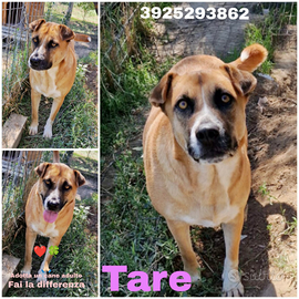 Apri il mio box .portami a casa