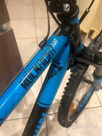 Due biciclette  mountain bike , (blu e rossa)