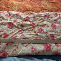 Due cinte Zara donna con anelli in legno 90 cent