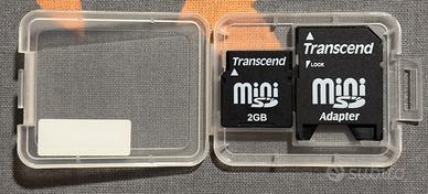 Mini SD 2 GB con adattatore