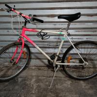 Bici mountain bike